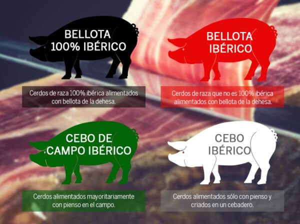 JAMÓN CRUDO CON HUESO "IBÉRICO " de CEBO" PRECINTO BLANC0 - Imagen 3